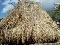 Sao Ria Tenda Bewa Moni Koanara