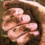 Penglepasan Aset Lahan Way Dadi Dipercepat