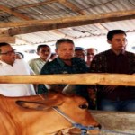 Sentra Peternakan Rakyat Akan Direalisasikan di Lampung