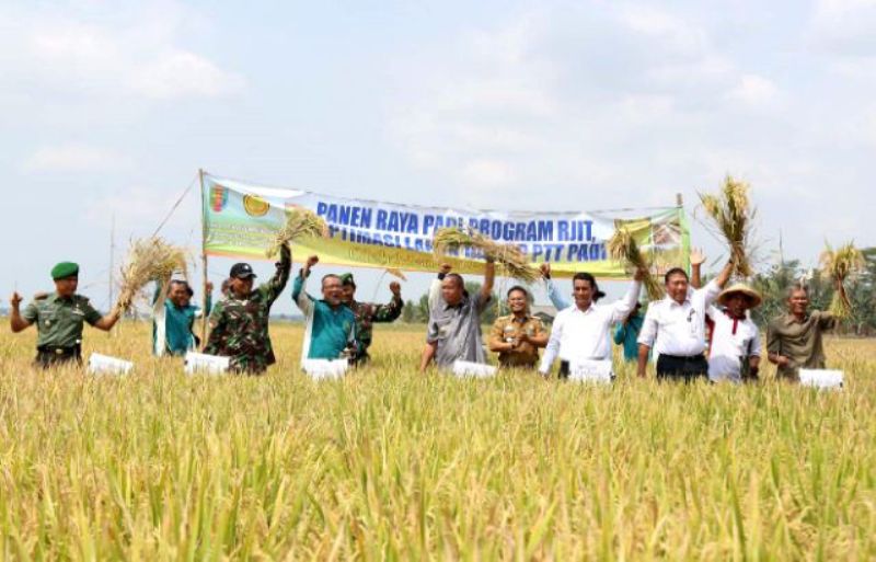 Kunjungan Kerja Menteri Pertanian RI Andi Amran Sulaiman pada panen raya di Desa Tanjung Sari Kecamatan Jabung Kabupaten Lampung Timur, Rabu (11/11/2015).