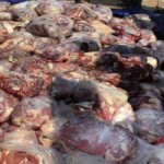 Polisi Pelabuhan Amankan 1,3 Ton Daging Celeng