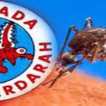 Kebersihan Lingkungan untuk Mencegah DBD