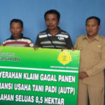 Cuma Bayar Rp 36 Ribu, Petani Gagal Panen Bisa Dapat Ganti Rugi dari Jasindo