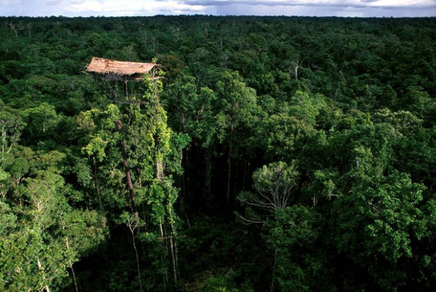 suku-korowai-4