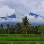 Tanggamus Prioritaskan Penanggulangan Bencana
