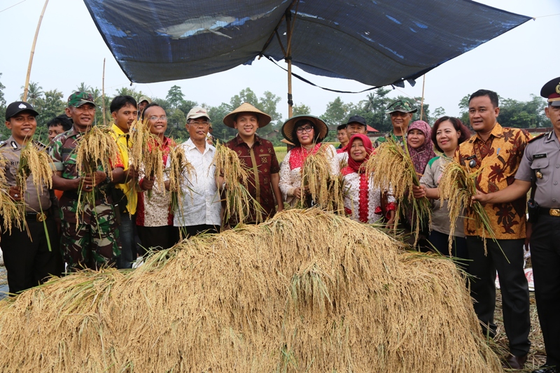 Gubernur Lampung M Ridho Ficardo (tengah)