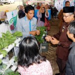 Lampung Berhasil Turunkan Konsumsi Beras dan Gizi Buruk