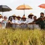 Kota Terpadu Mandiri Mesuji Lampung Terbaik Indonesia