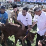 Menteri Pertanian: Lampung Swasembada Protein