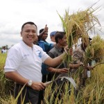 Lampung Swasembada Padi