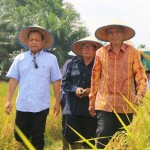 Dekat Dengan Majelis Taklim, Ridho Didukung Ulama dan Puluhan Ribu Warga Kotabumi
