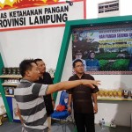 Dinas Ketahanan Pangan Provinsi Lampung Pamerkan Produk Pangan Unggulan di Kota Banjarbaru, Kalimantan Selatan